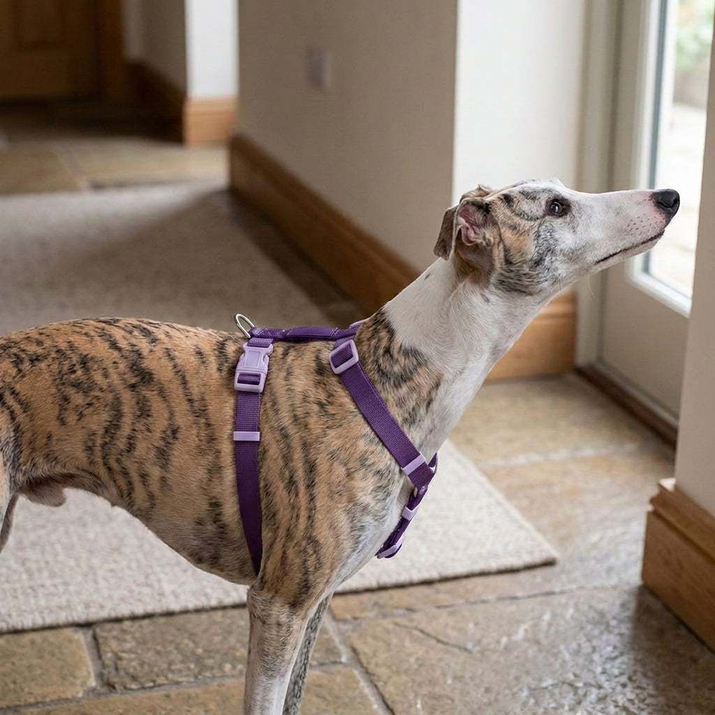 Dog Harness Escape Proof: Escape proof dog harness, padded with top handle, reflective, Cow'S Milk Purple