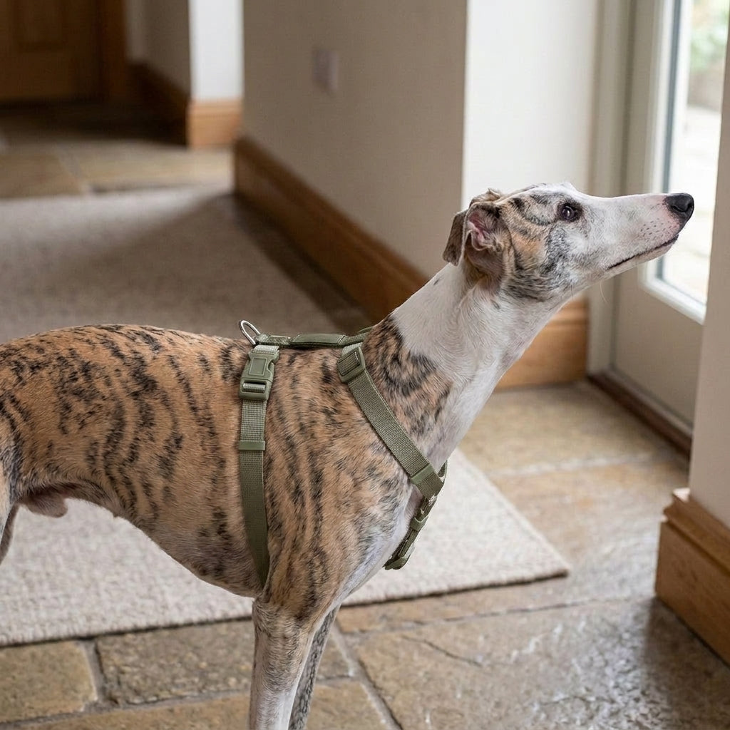 Escape proof dog harness, padded with top handle, reflective, Olive Gray