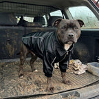 Dog Jacket Leather: Dog faux leather jacket, fleece lined bomber coat, machine washable, Thickened