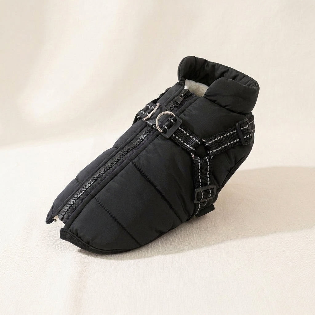 Waterproof dog coat, integrated harness, reflective padded shell, Black, studio