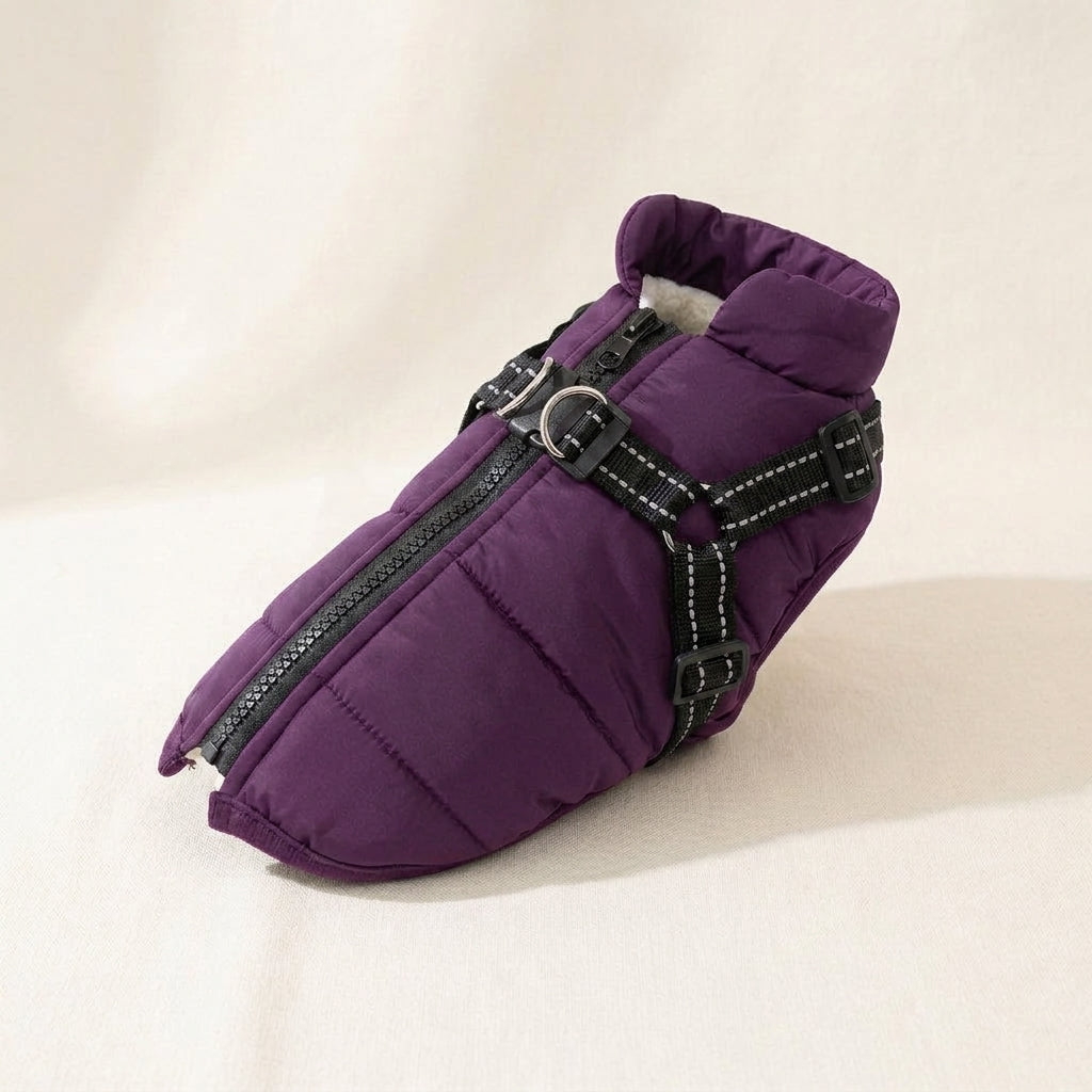 Waterproof dog coat, integrated harness, reflective padded shell, Purple, studio