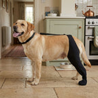 Dog leg sleeve, non-slip rubber sole, breathable paw protection, Left
