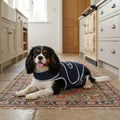 Dog Support Sling, Rear Leg Mobility Harness