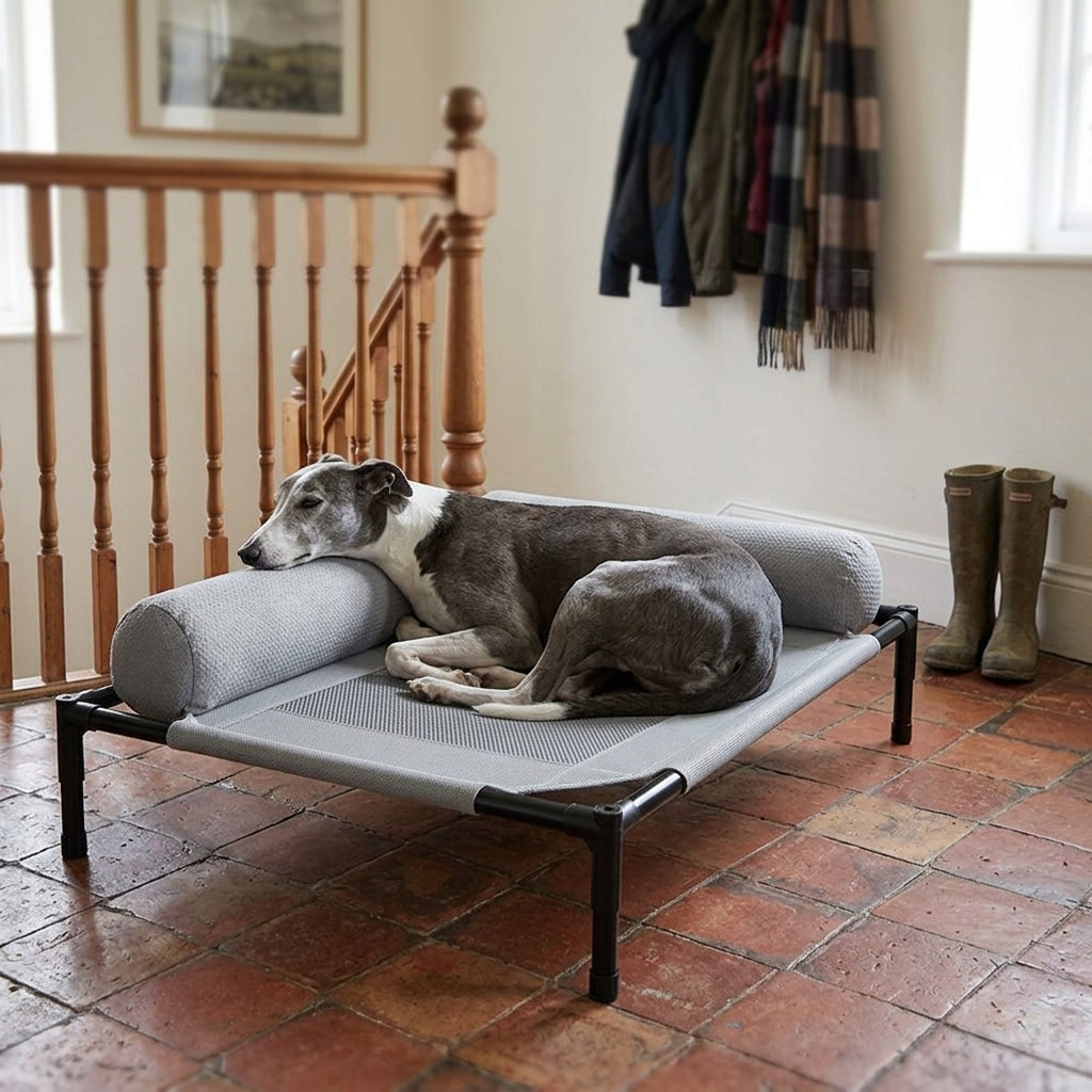 Elevated dog bed, mesh base with bolster sides, in use