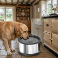 Elevated Stainless Steel Dog Bowl, Non-Slip