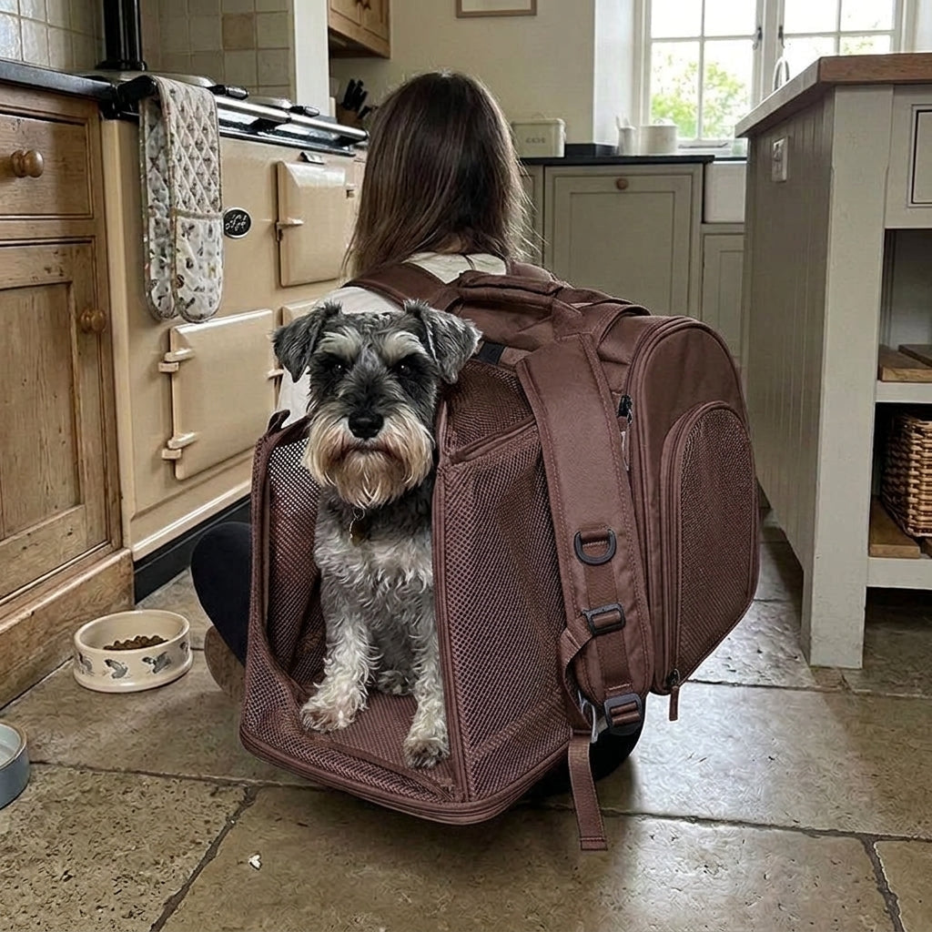 Dog backpack carrier, expandable fold out mesh for small dogs, Brown
