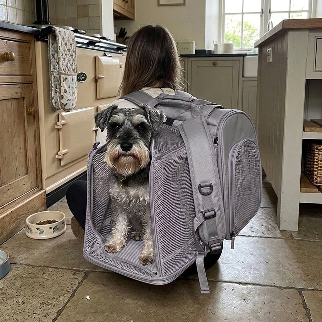 Dog backpack carrier, expandable fold out mesh for small dogs, Grey
