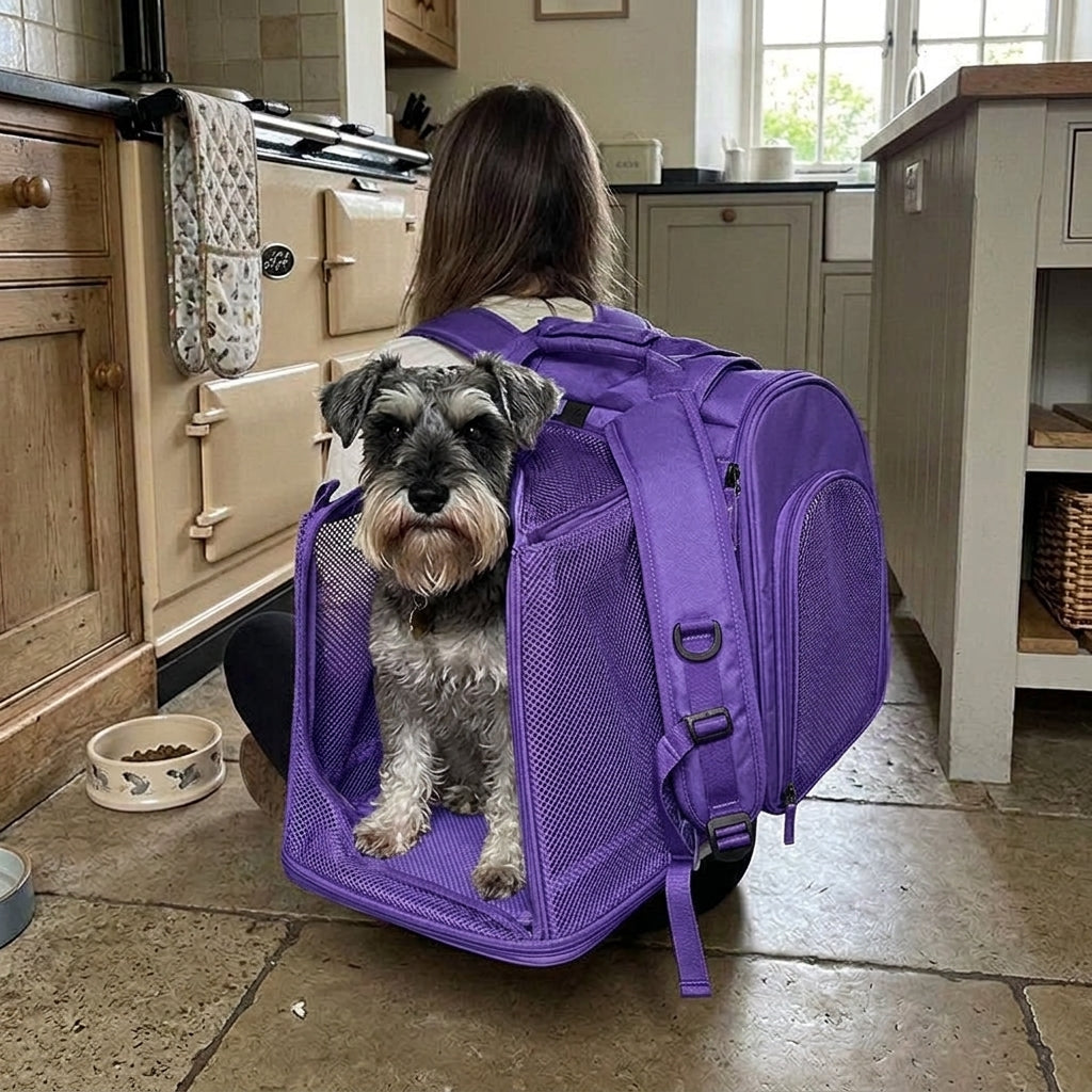 Dog backpack carrier, expandable fold out mesh for small dogs, Purple