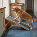 Folding Dog Steps, Non-Slip 3-Step Pet Stairs, Foldable