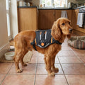 Hands-Free Bungee Dog Lead, Waist Attachable