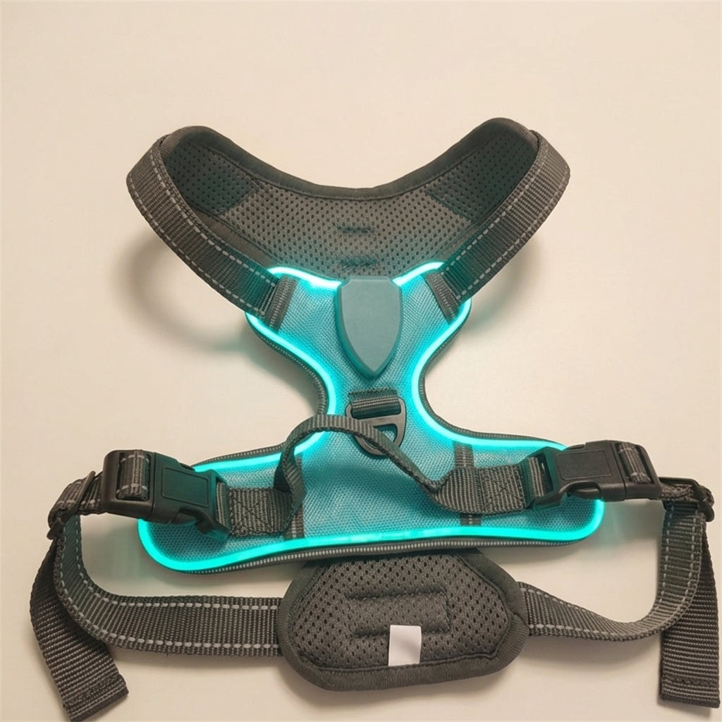 LED Dog Collar, USB Rechargeable Night Safety