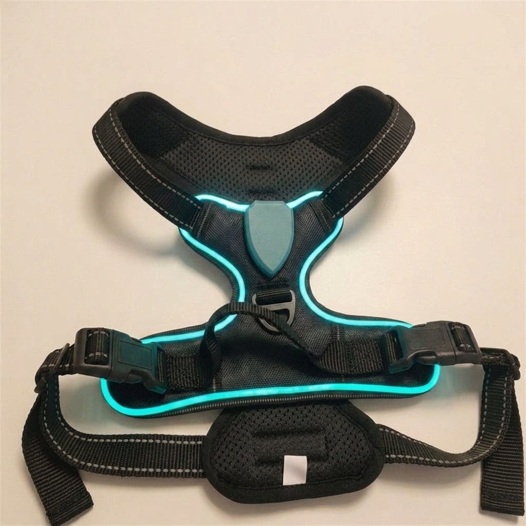LED dog harness, illuminated light edging, adjustable quick release, Black, studio