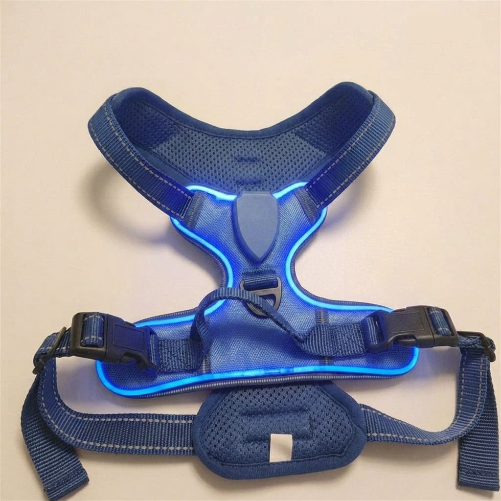 LED dog harness, illuminated light edging, adjustable quick release, Blue, studio