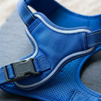 LED dog harness, illuminated light edging, adjustable quick release, Blue, detail