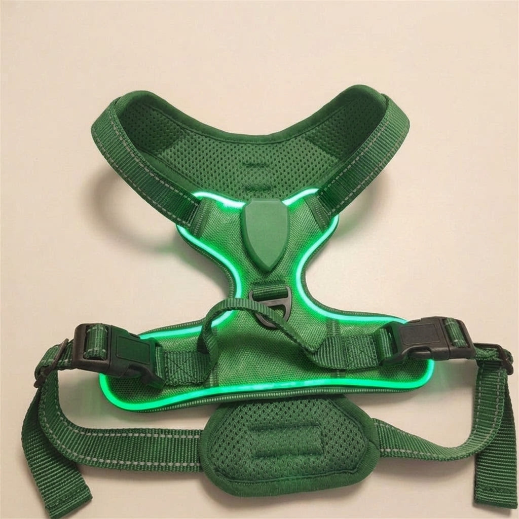 LED dog harness, illuminated light edging, adjustable quick release, Grass Green, studio