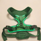 LED dog harness, illuminated light edging, adjustable quick release, Grass Green, studio