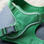 LED dog harness, illuminated light edging, adjustable quick release, Grass Green, detail