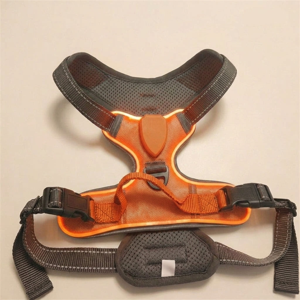 LED dog harness, illuminated light edging, adjustable quick release, Orange, studio