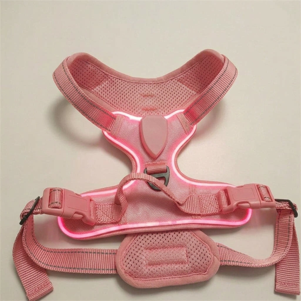 LED dog harness, illuminated light edging, adjustable quick release, Pink, studio