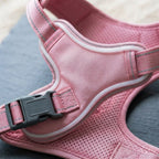 LED dog harness, illuminated light edging, adjustable quick release, Pink, detail