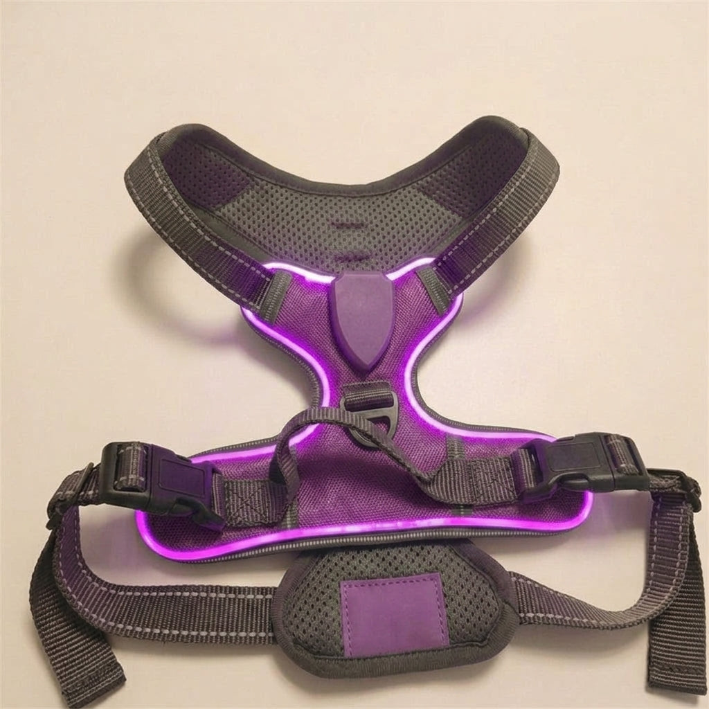 LED dog harness, illuminated light edging, adjustable quick release, Purple, studio