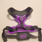 LED dog harness, illuminated light edging, adjustable quick release, Purple, studio