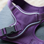 LED dog harness, illuminated light edging, adjustable quick release, Purple, detail