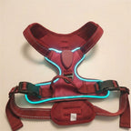 LED dog harness, illuminated light edging, adjustable quick release, Red, studio
