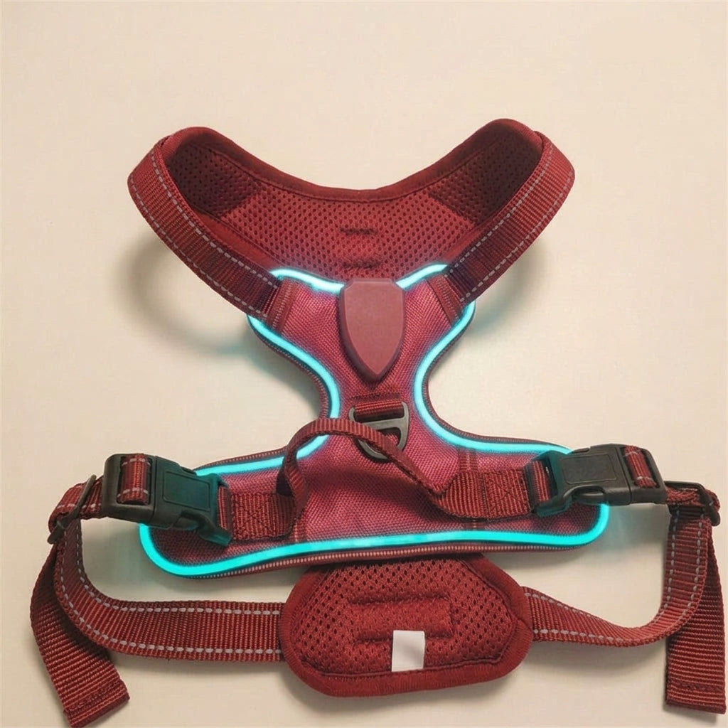 LED dog harness, illuminated light edging, adjustable quick release, Red, studio