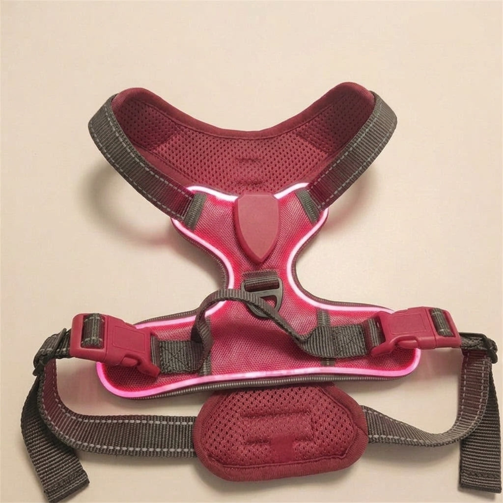 LED dog harness, illuminated light edging, adjustable quick release, Rose Red, studio