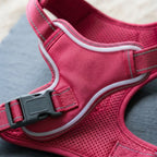 LED dog harness, illuminated light edging, adjustable quick release, Rose Red, detail