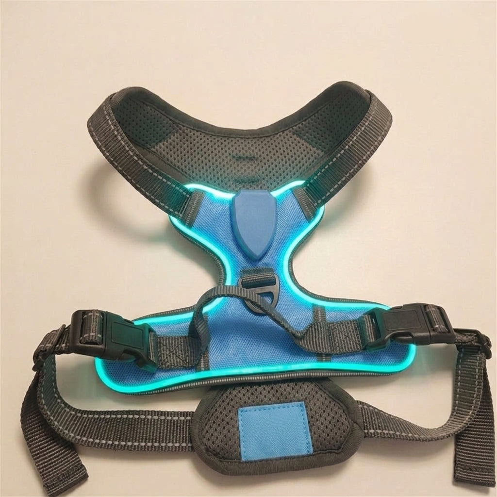 LED dog harness, illuminated light edging, adjustable quick release, Sky Blue, studio