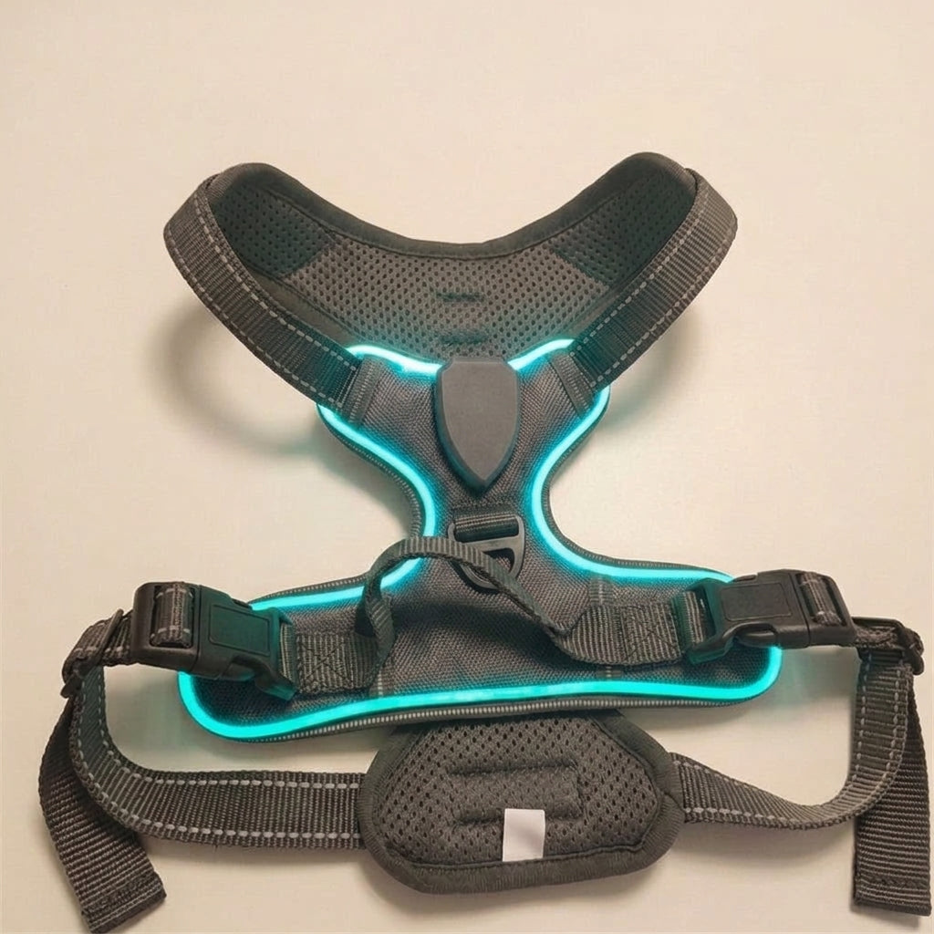 LED dog harness, illuminated light edging, adjustable quick release, Slabstone Gray, studio