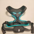 LED dog harness, illuminated light edging, adjustable quick release, Slabstone Gray, studio