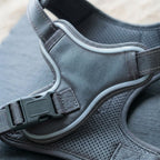 LED dog harness, illuminated light edging, adjustable quick release, Slabstone Gray, detail