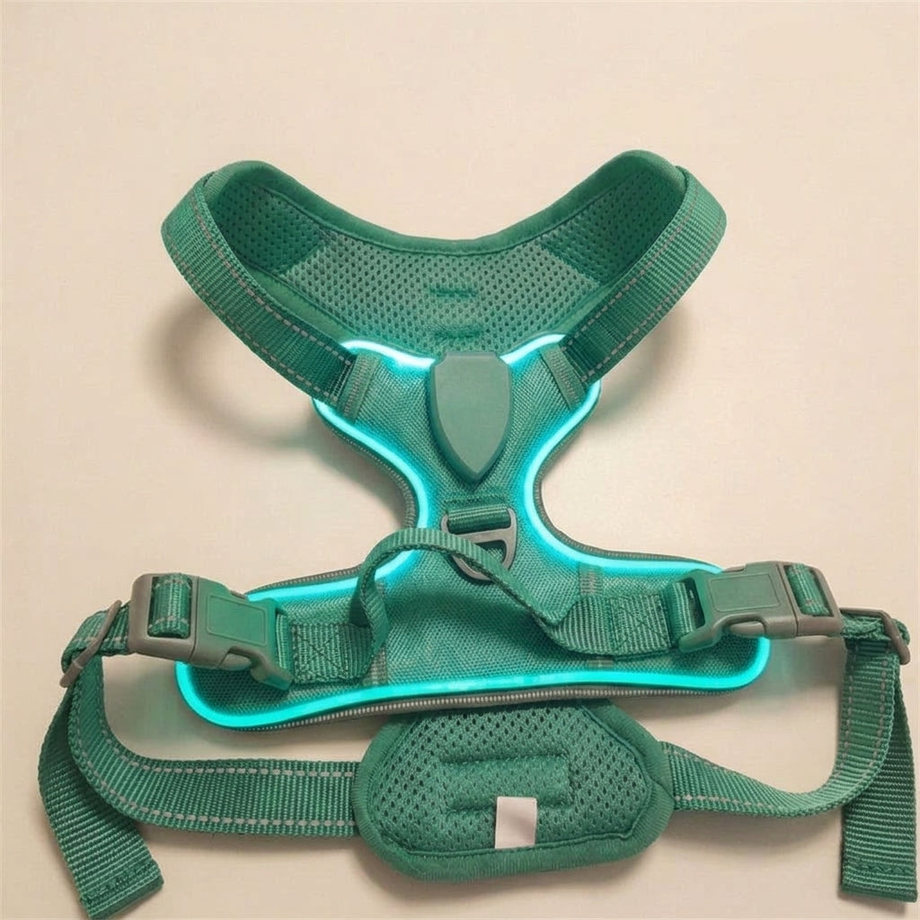 LED dog harness, illuminated light edging, adjustable quick release, Spearmint, studio