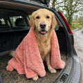 Microfibre Dog Drying Towel, Ultra Absorbent