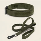 Dog collar and lead set, padded collar, shock absorbing bungee lead, Army Green, studio