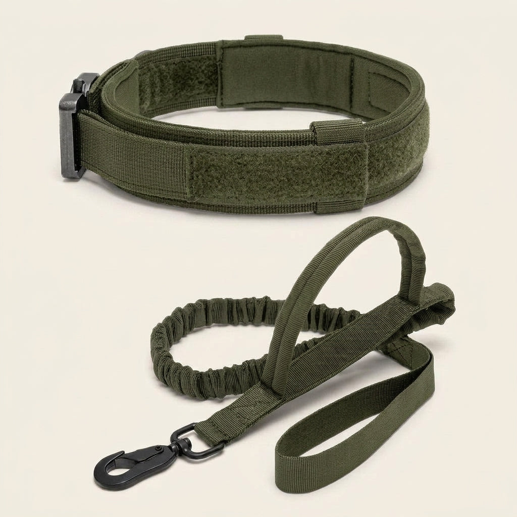 Dog collar and lead set, padded collar, shock absorbing bungee lead, Army Green, studio