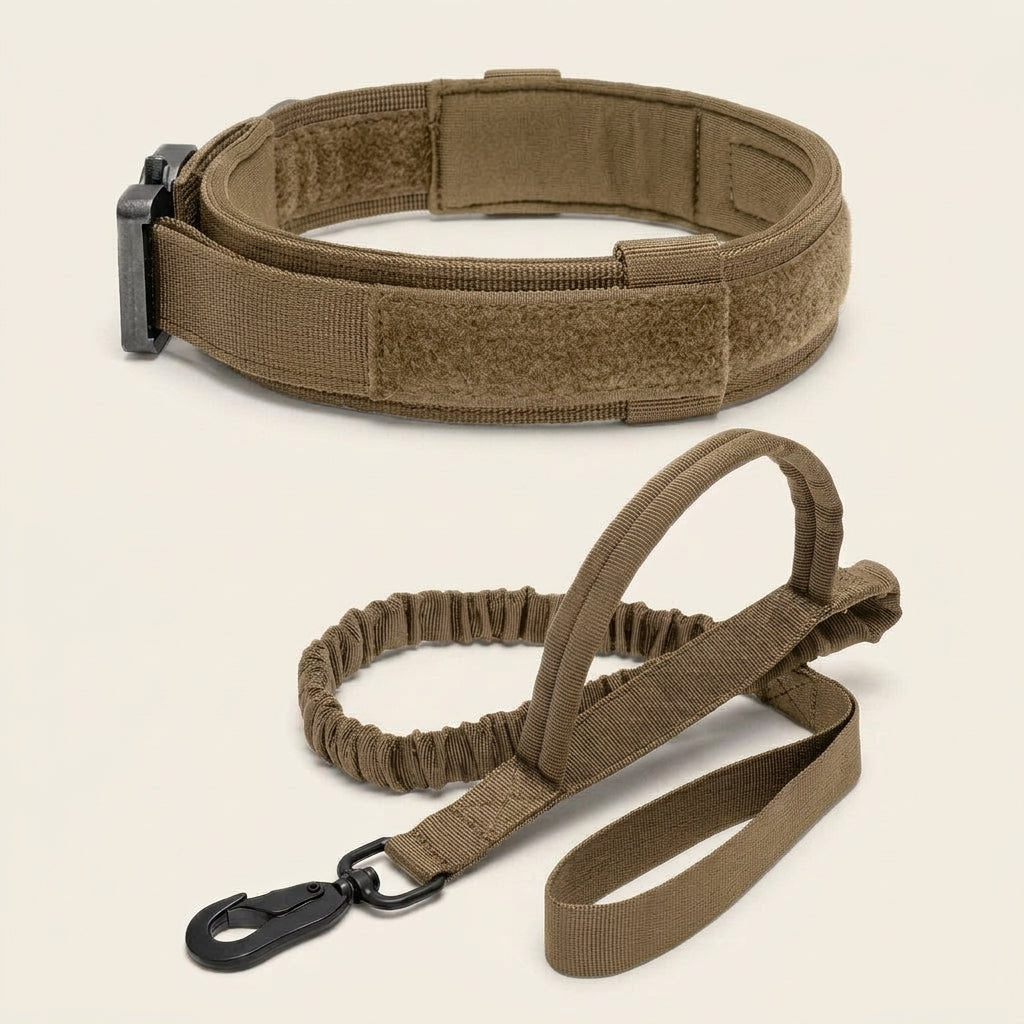 Dog collar and lead set, padded collar, shock absorbing bungee lead, Khaki, studio
