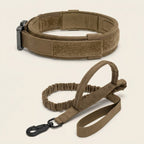 Dog collar and lead set, padded collar, shock absorbing bungee lead, Khaki, studio