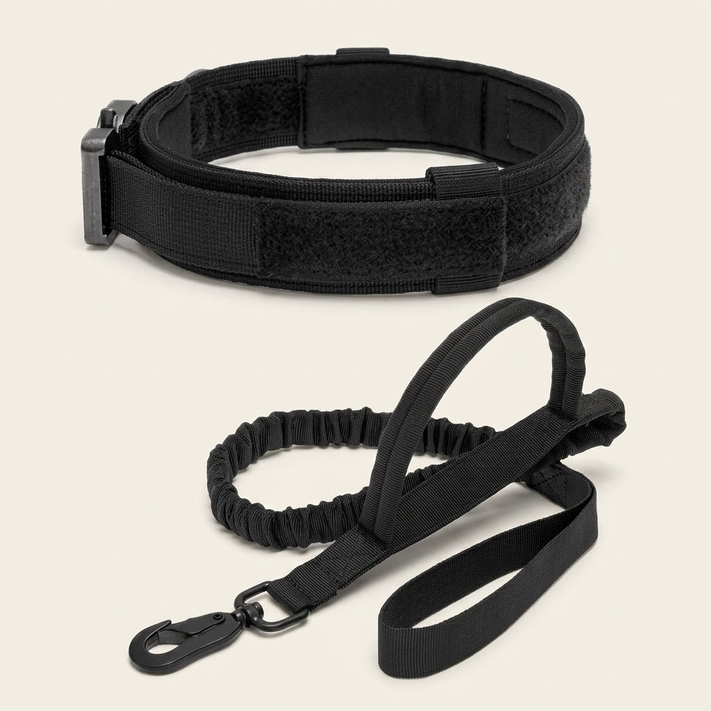 Padded Nylon Dog Collar, Adjustable with Metal Buckle