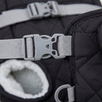 Dog backpack carrier, quilted padded chest pack with leg openings, Black, detail