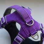 Reflective dog vest, USB rechargeable light, weatherproof, Grape Purple, detail