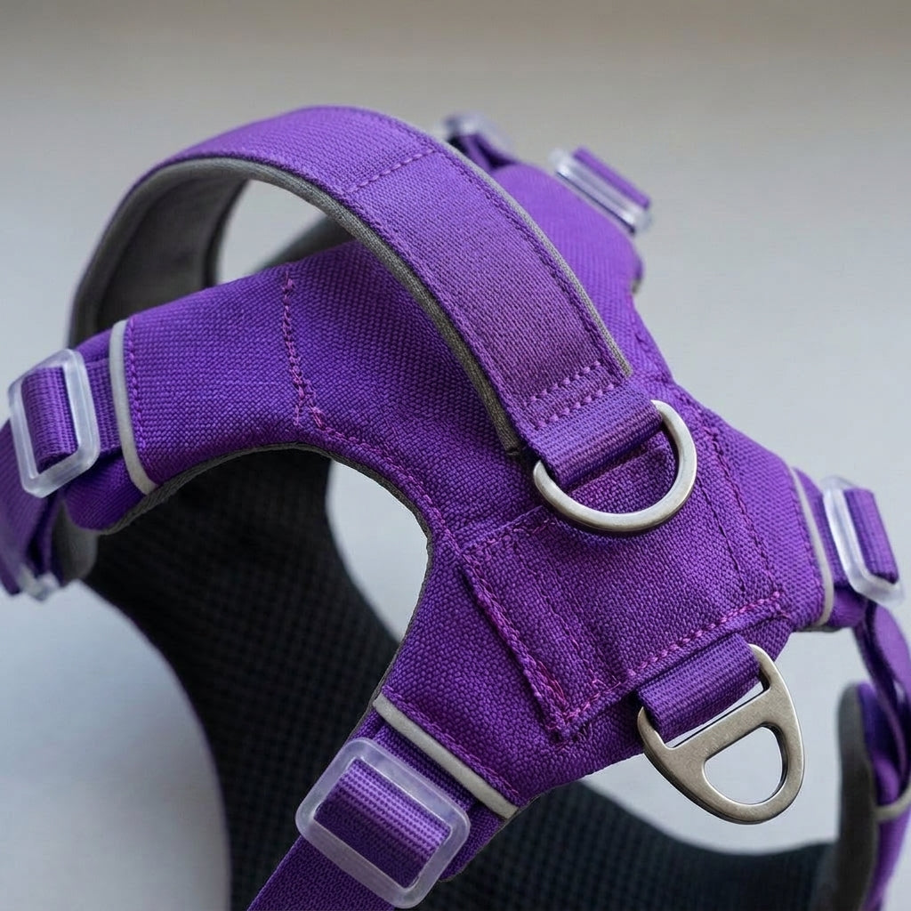 Reflective dog vest, USB rechargeable light, weatherproof, Grape Purple, detail