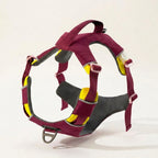 Reflective dog vest, USB rechargeable light, weatherproof, Wine Red, studio
