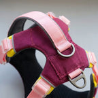 Reflective dog vest, USB rechargeable light, weatherproof, Wine Red, detail