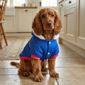 Reflective Padded Dog Coat, Warm Winter Jacket, Reflective