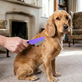 Self-Cleaning Slicker Brush, Deshedding Dog Groomer