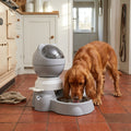 Slow Feeder Dog Bowl, Anti-Gulp Maze Design
